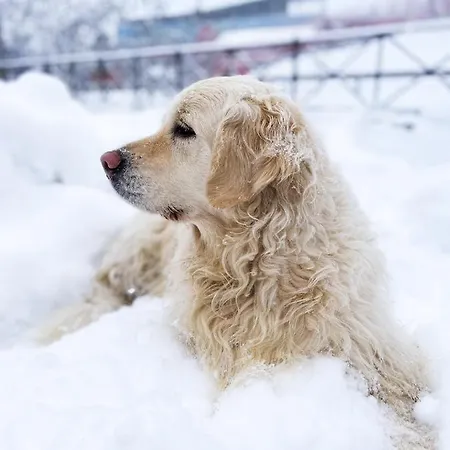 Skilandhouse Hotel Bukowel