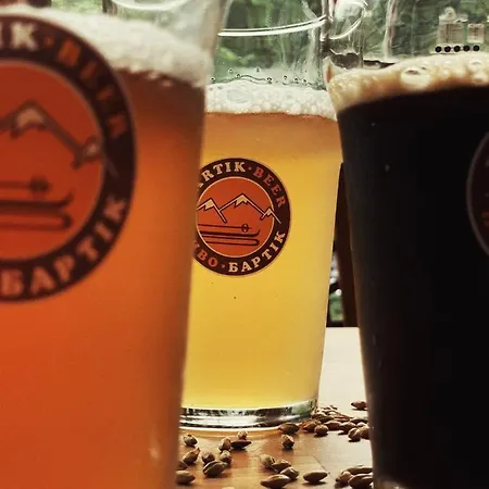 Skilandhouse فندق بوكوفِل